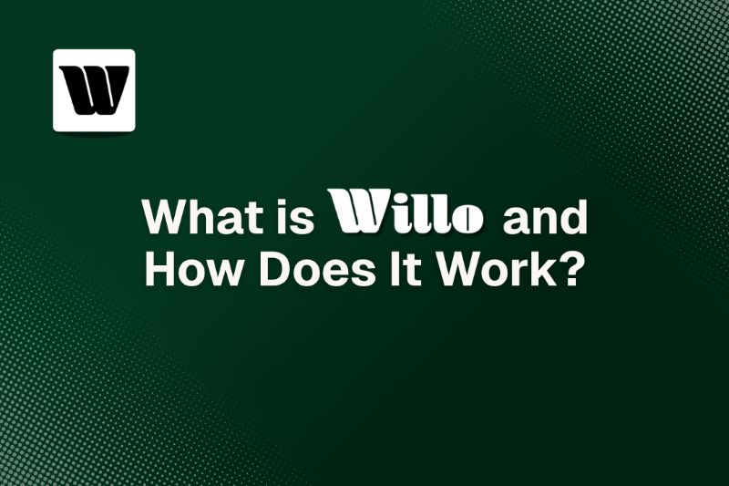 Watch the Willo demo
