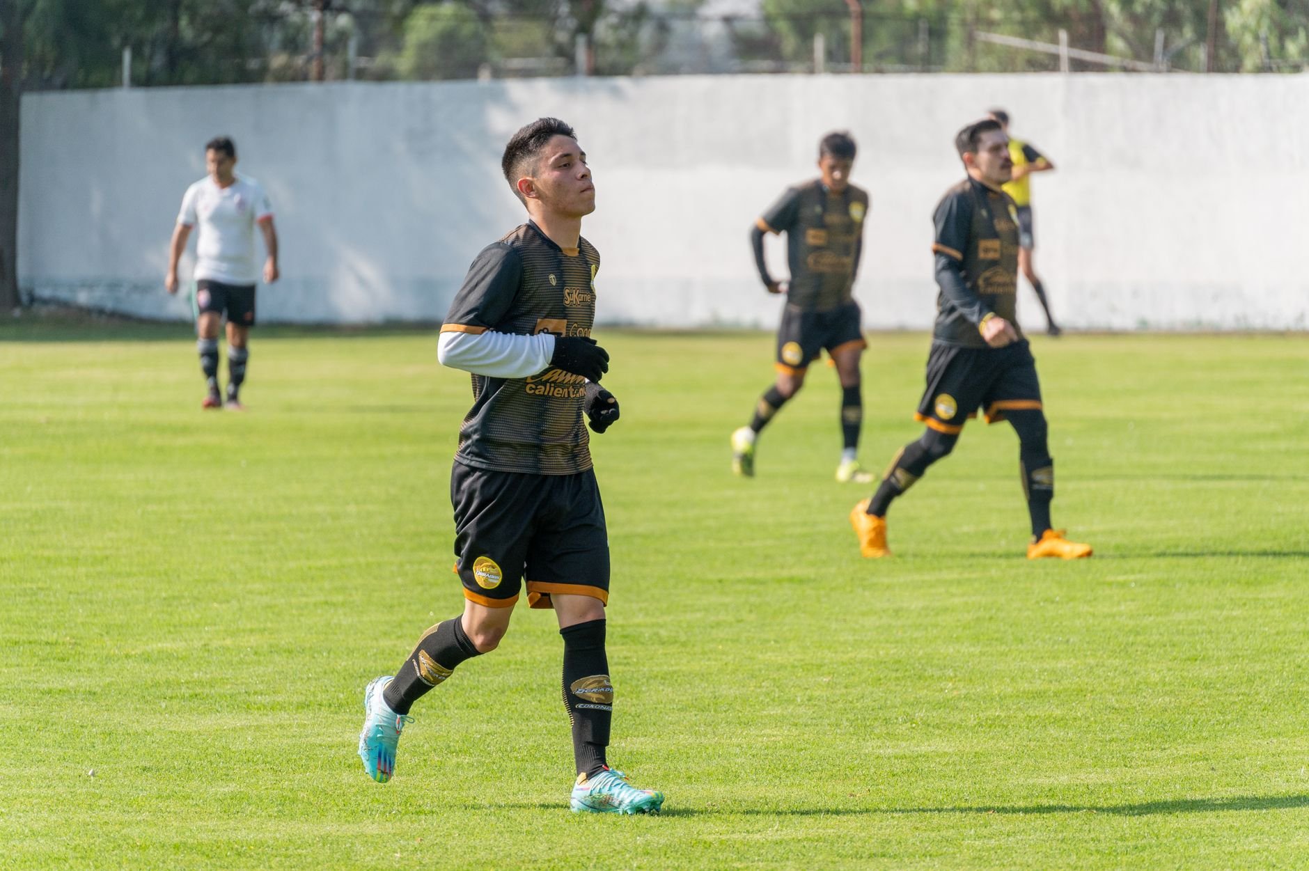 Young soccer players in black uniforms on a grass field during a sunny day game.