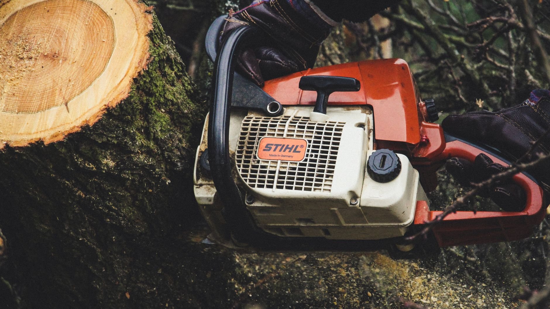 Professional using chainsaw to cut through a tree trunk during tree removal.