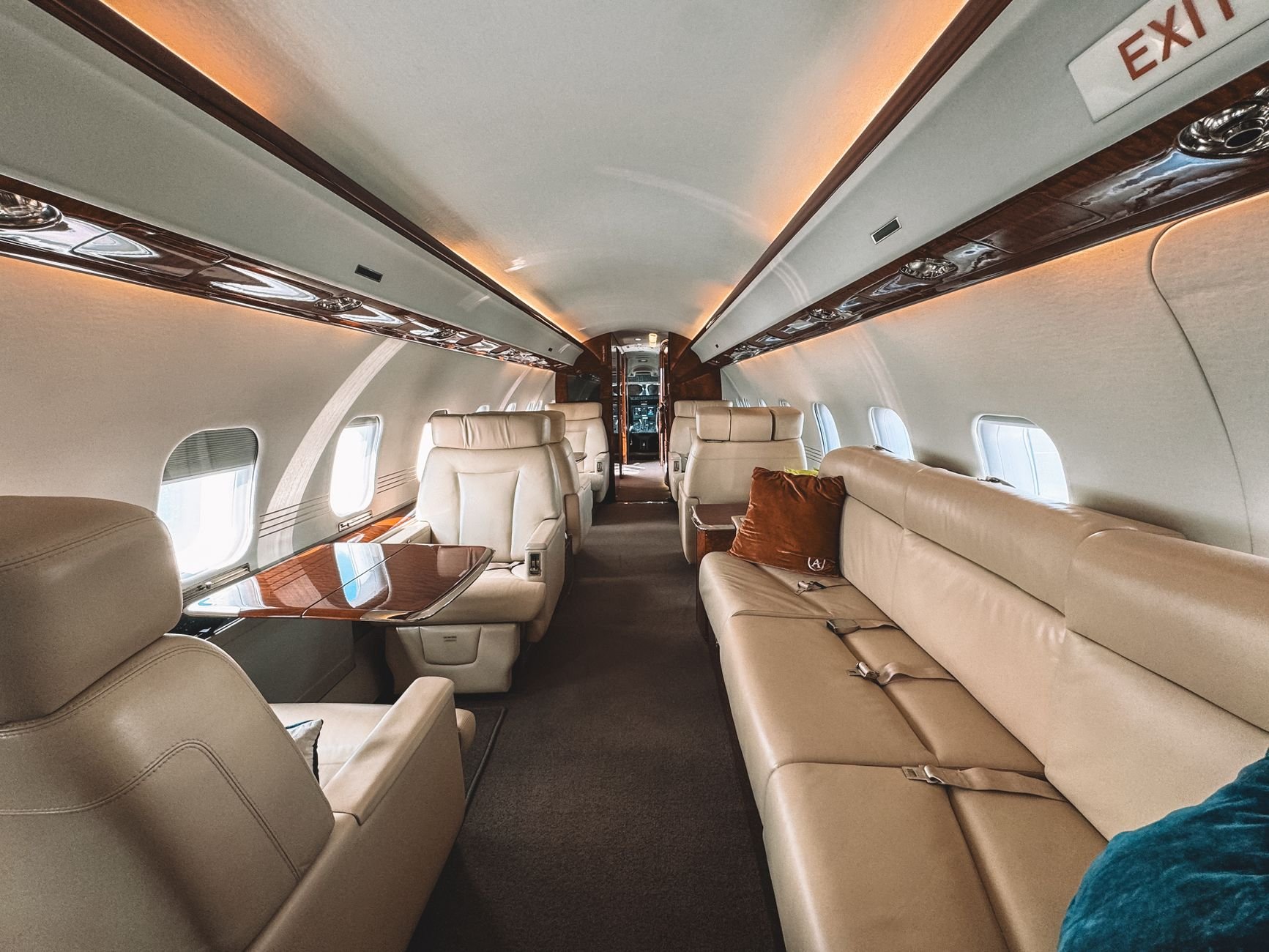 Warm private jet interior — where pets travel on Pet Jet