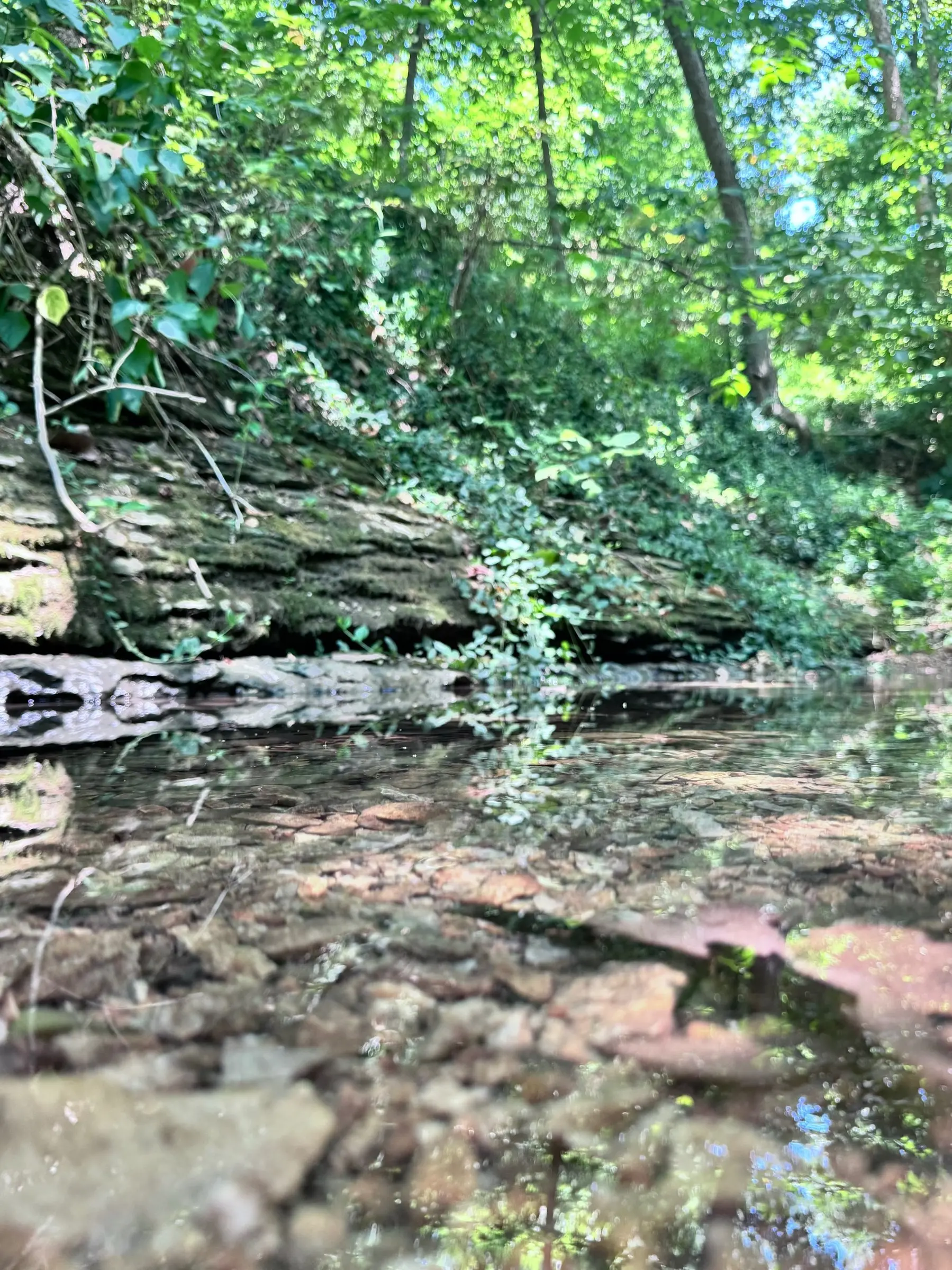 Mossy limestone bluff reflected in the clear waters of the Elk River hollow, Pineville Missouri